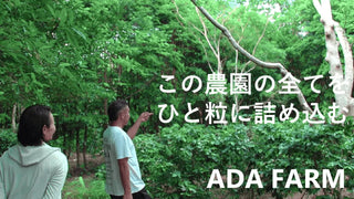 この農園の全てをコーヒーひと粒に詰め込む。自然と共生する農業を目指すアダ・ファーム『徳田泰二郎・優子』|沖縄コーヒーシリーズ④