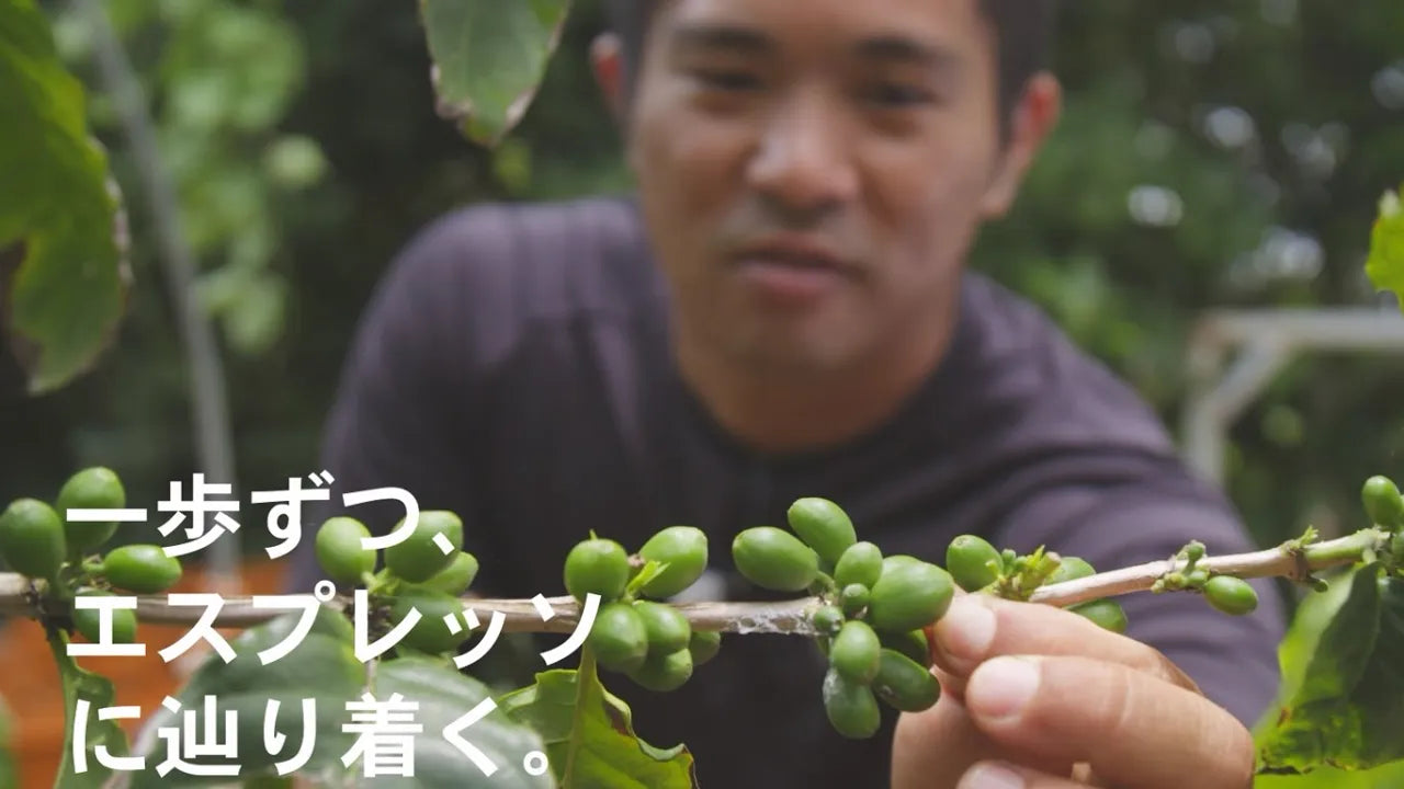 沖縄でコーヒー栽培に邁進！エスプレッソを体現する『眞喜志泰斗』｜沖縄コーヒーシリーズ①