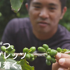 沖縄でコーヒー栽培に邁進！エスプレッソを体現する『眞喜志泰斗』｜沖縄コーヒーシリーズ①